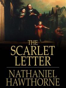The Scarlet Letter The Scarlet Letter