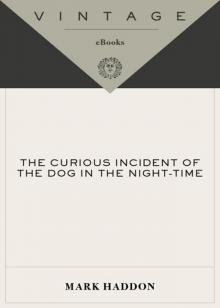      The Curious Incident of the Dog in the Night-Time